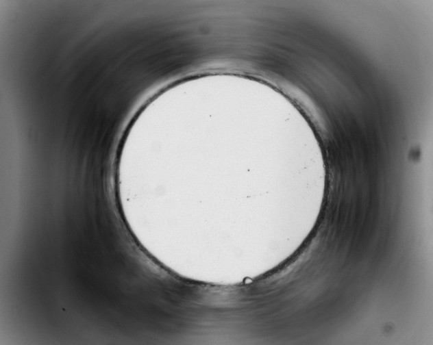 X0000103451288200810241136