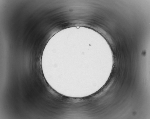 X0000103451289200810241136