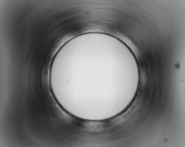 X0000103451290200810241136