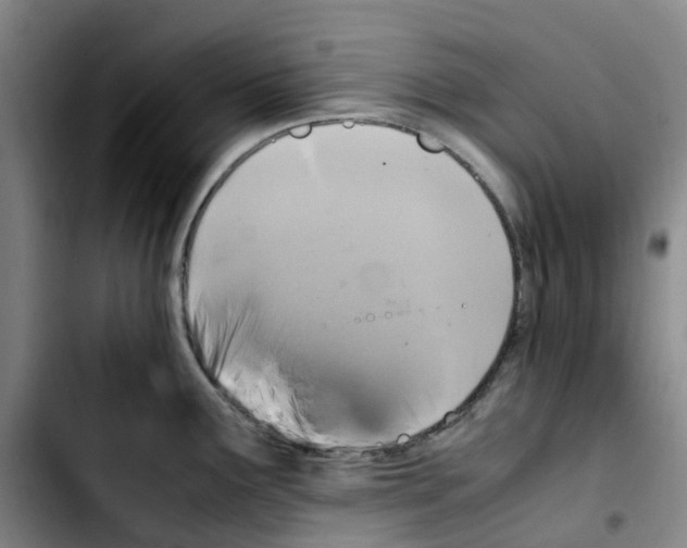 X0000103451291200810241136