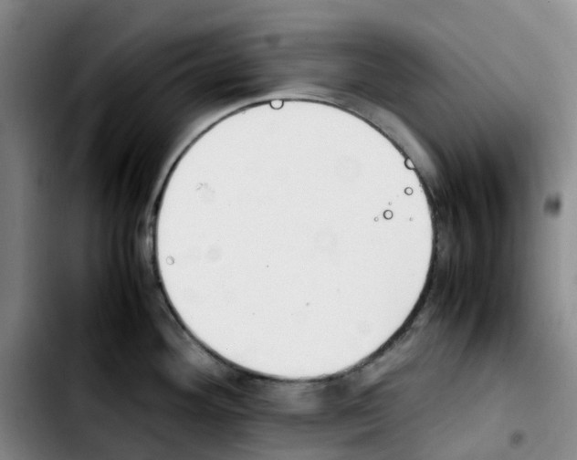 X0000103451292200810241136