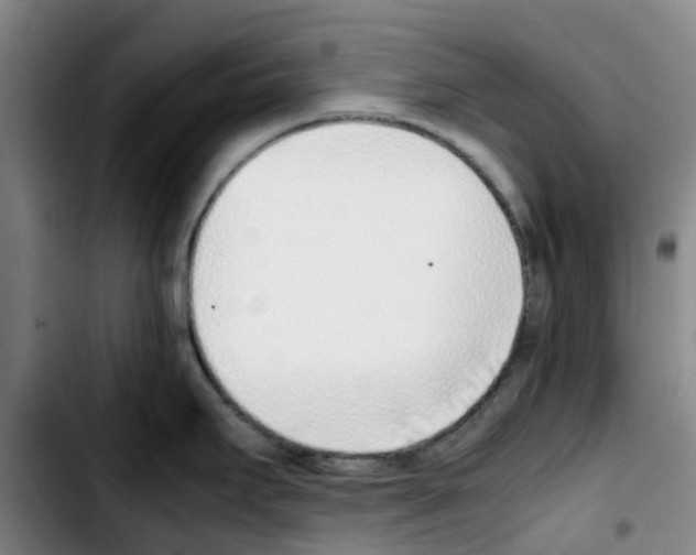 X0000103451295200810241136