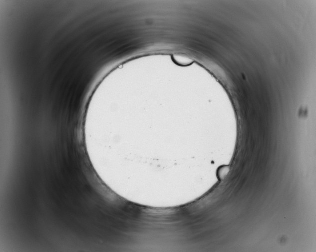 X0000103451296200810241136