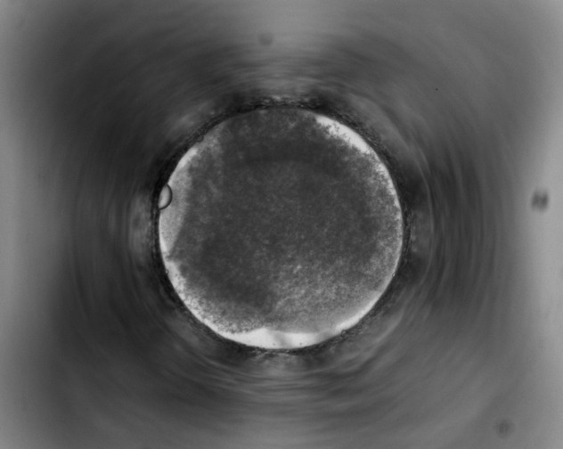 X0000103451298200810241135