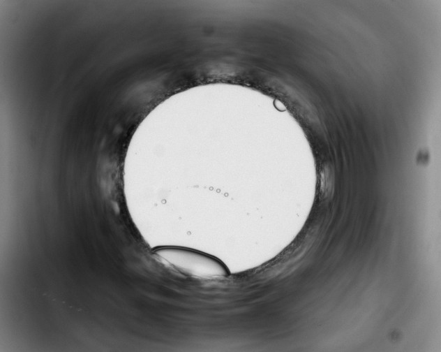 X0000103451299200810241135