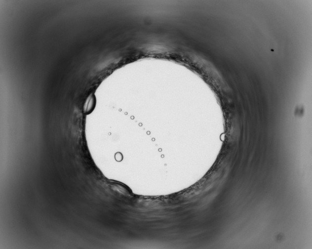 X0000103451301200810241135