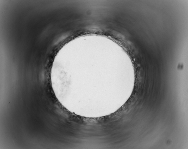 X0000103451302200810241135