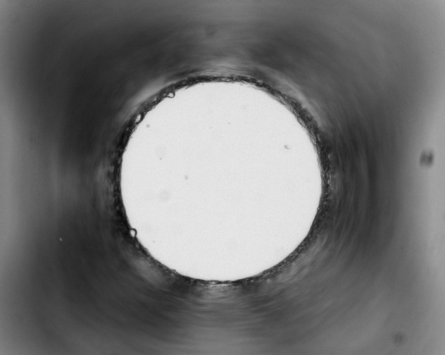 X0000103451304200810241135