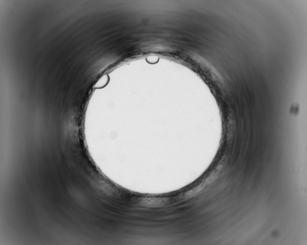 X0000103451305200810241136