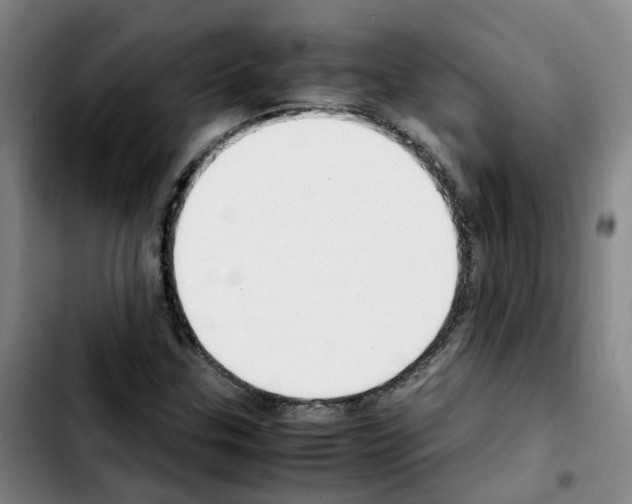 X0000103451307200810241136