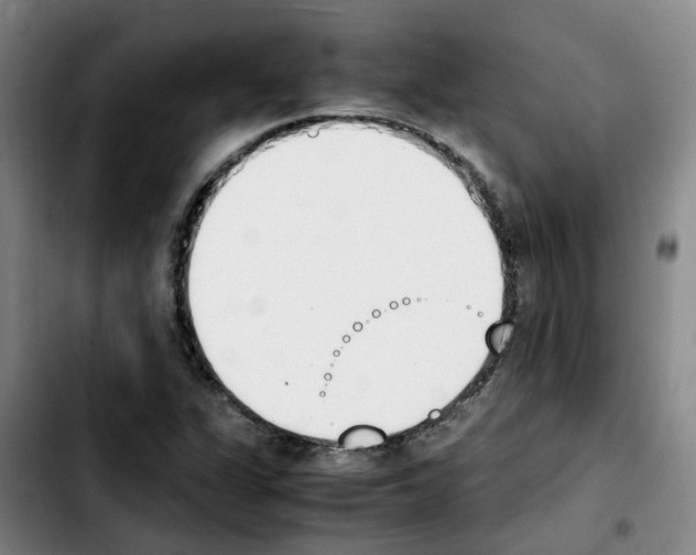 X0000103451311200810241136