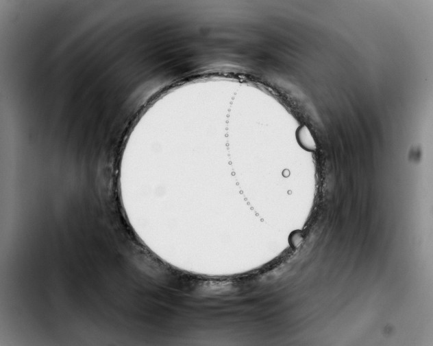 X0000103451313200810241136