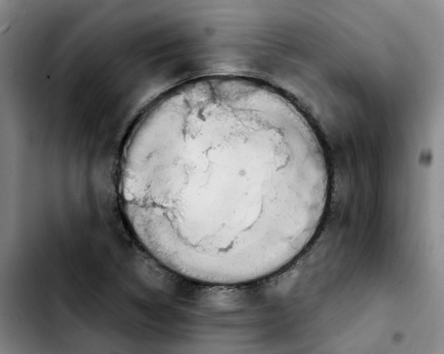 X0000103451314200810241136