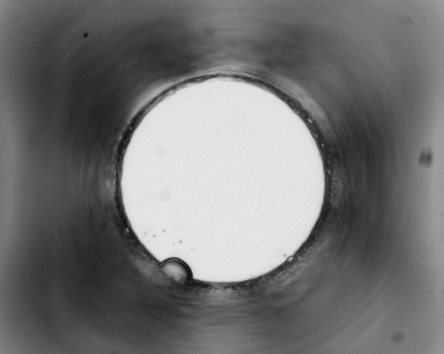 X0000103451316200810241136