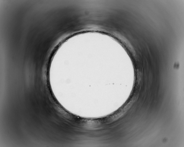 X0000103451318200810241136