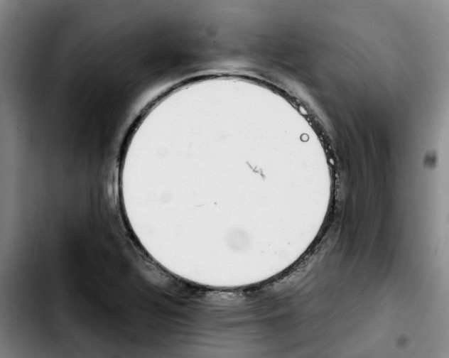 X0000103451320200810241136