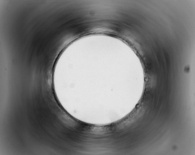 X0000103451322200810241136