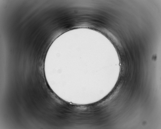 X0000103451329200810241136