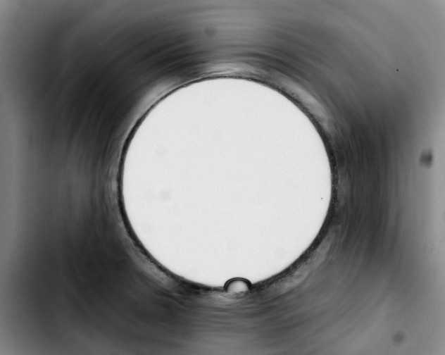 X0000103451330200810241136