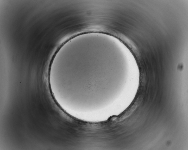 X0000103451334200810241136