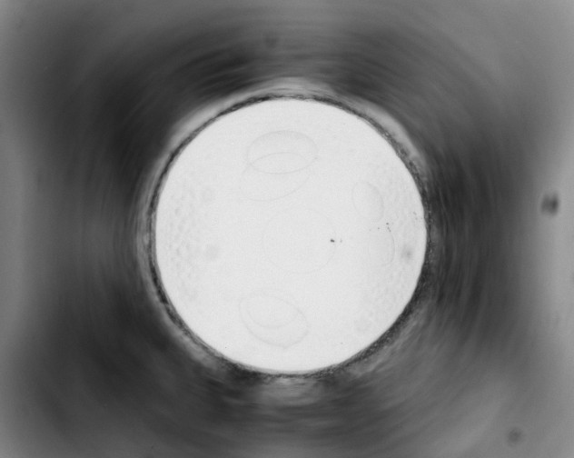 X0000103451335200810241136