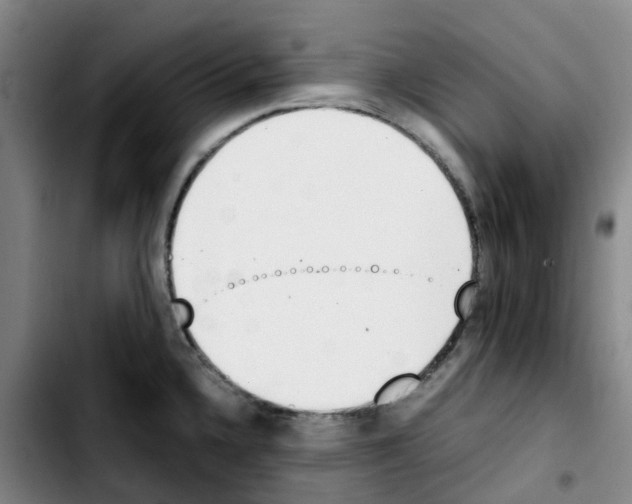 X0000103451336200810241136