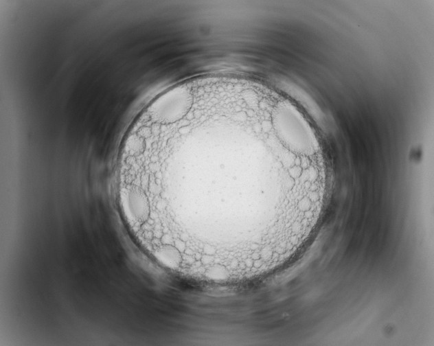 X0000103451338200810241136