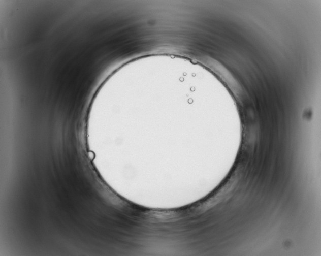 X0000103451340200810241136