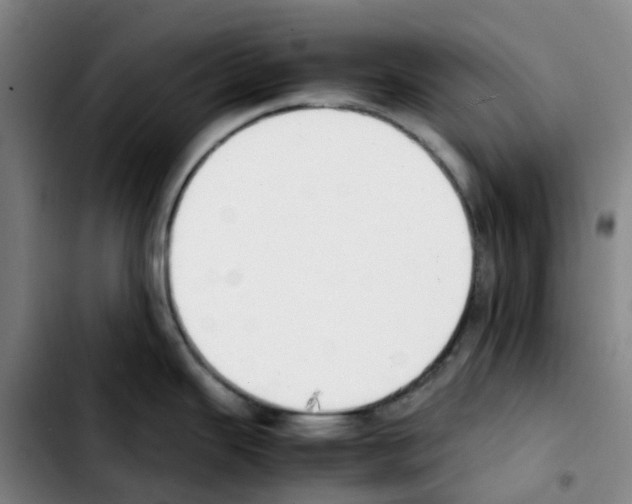 X0000103451343200810241136