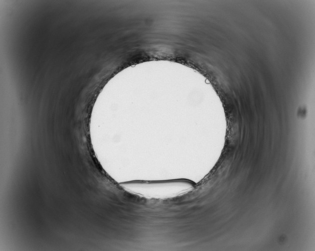 X0000103451345200810241135