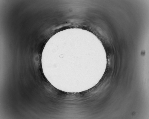 X0000103451347200810241135