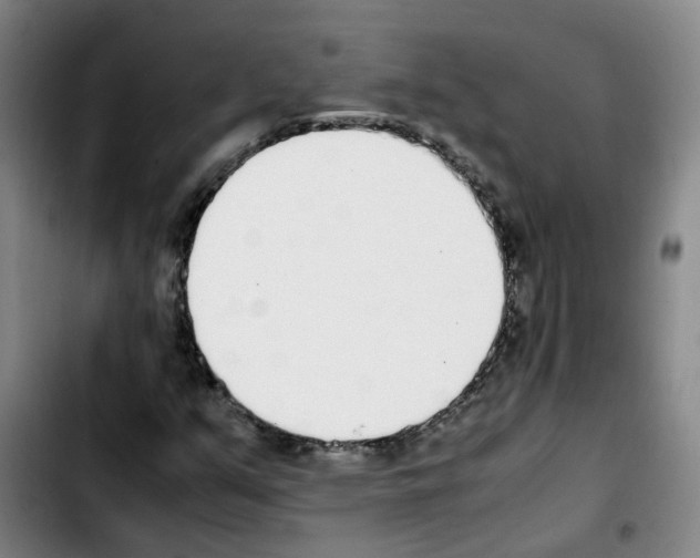 X0000103451351200810241135