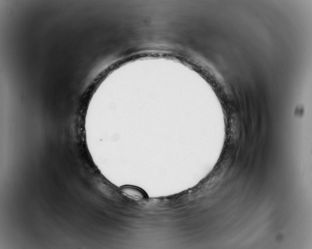 X0000103451352200810241135