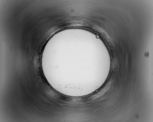 X0000103451353200810241135