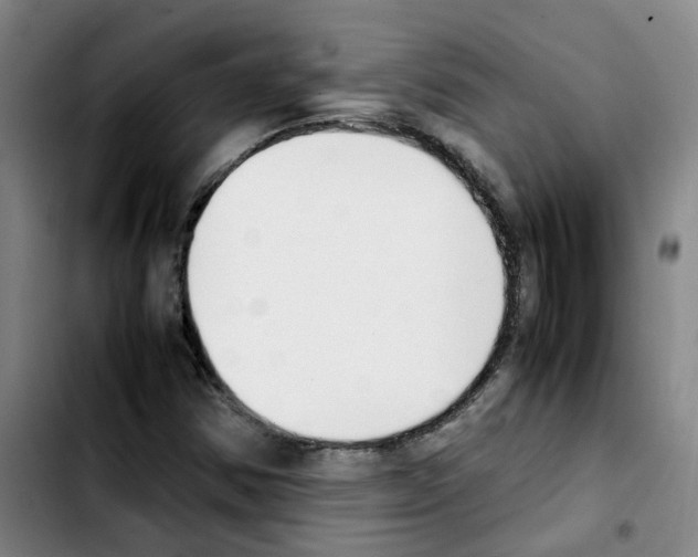 X0000103451354200810241135