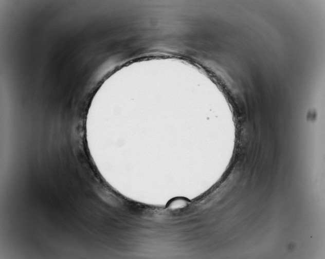 X0000103451355200810241135