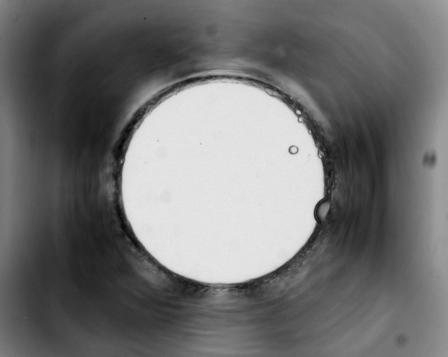 X0000103451360200810241135