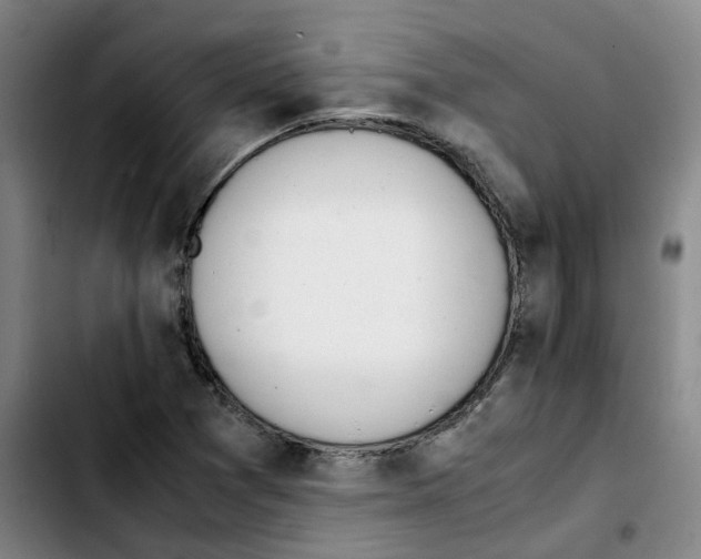 X0000103451361200810241135