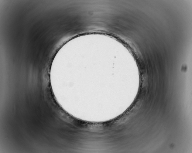 X0000103451363200810241135