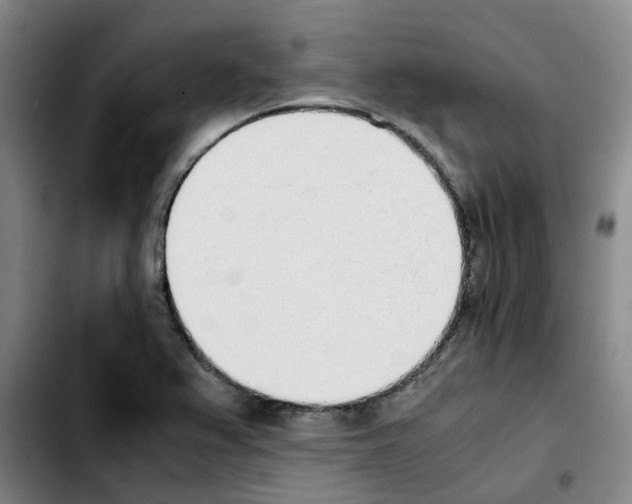 X0000103451367200810241135