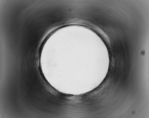 X0000103451368200810241135