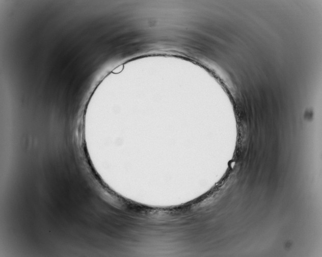 X0000103451371200810241135