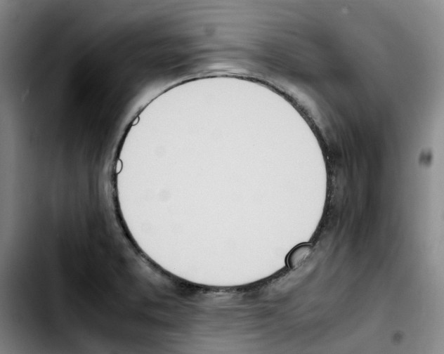 X0000103451373200810241135