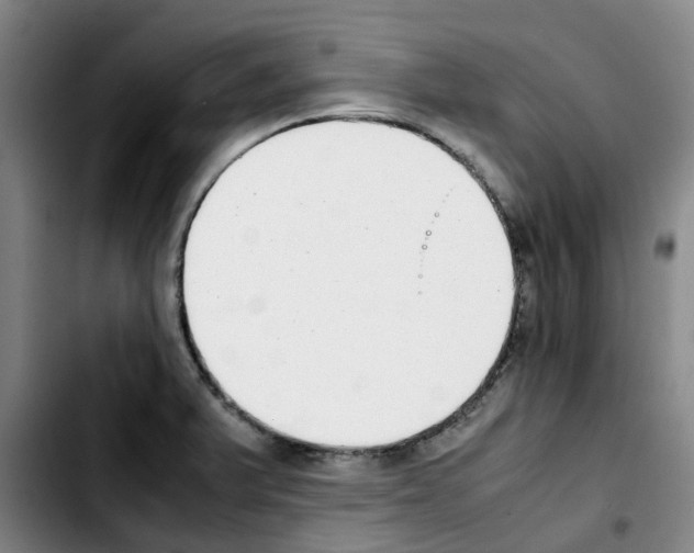 X0000103451375200810241135