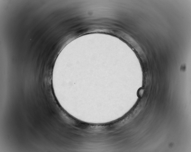 X0000103451377200810241135