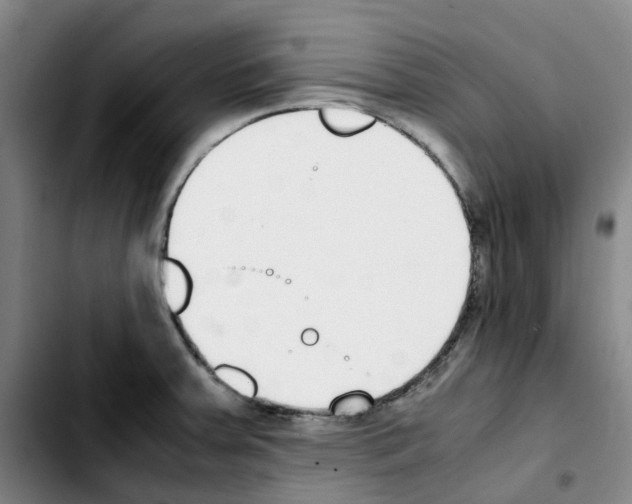 X0000103451379200810241135