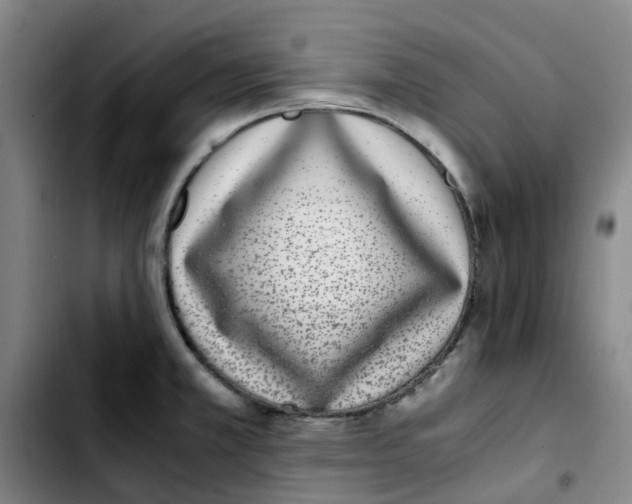 X0000103451381200810241135