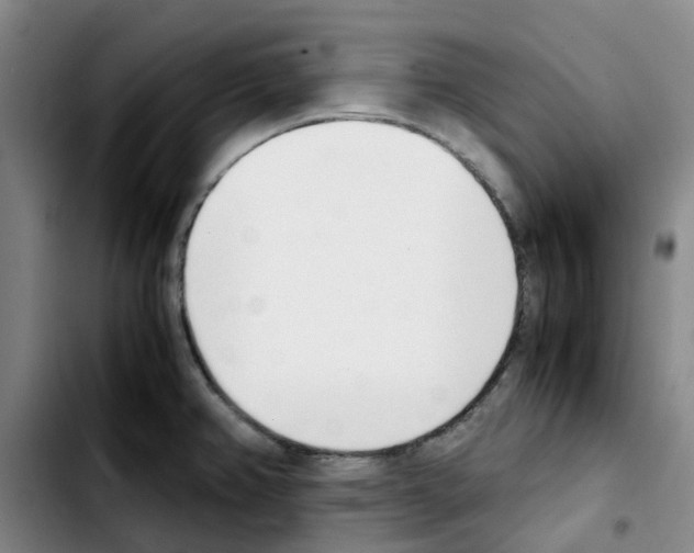 X0000103451382200810241135