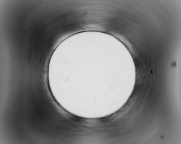 X0000103451383200810241135