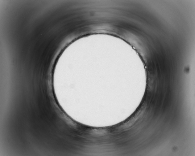 X0000103451384200810241135